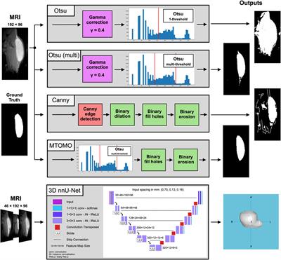 Automated segmentation and labeling of subcutaneous mouse implants at 14.1T